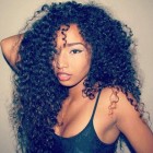 250% Density Wig Curly Hair Wig Pre-Plucked Peruvian Lace Wigs with Baby Hair for Black Women Peruvian Hair Natural Hair Line