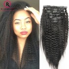 Kinky Straight Brazilian Virgin Hair Clip In Human Hair Extensions Natural Color