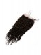 Malaysian Virgin Hair Kinky Curly Free Part Lace Closure with 3pcs Weaves